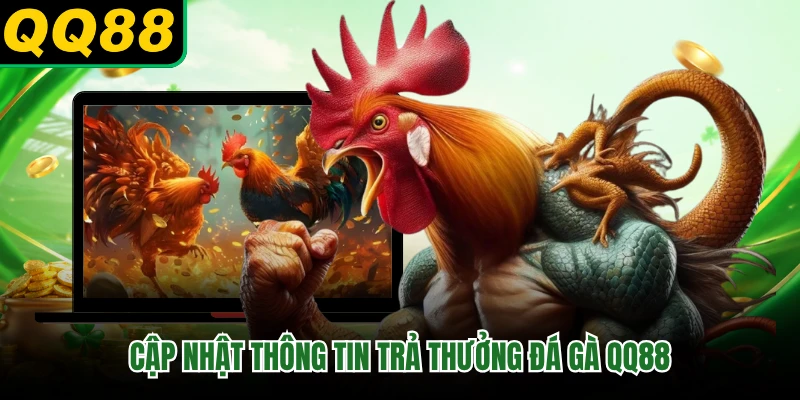 Cập nhật thông tin trả thưởng đá gà QQ88 