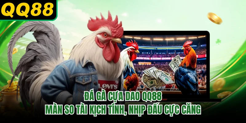 Đá Gà Cựa Dao QQ88 - Màn So Tài Kịch Tính, Nhịp Đấu Cực Căng