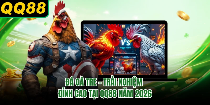 Đá Gà Tre - Trải Nghiệm Đỉnh Cao Tại QQ88 Năm 2026